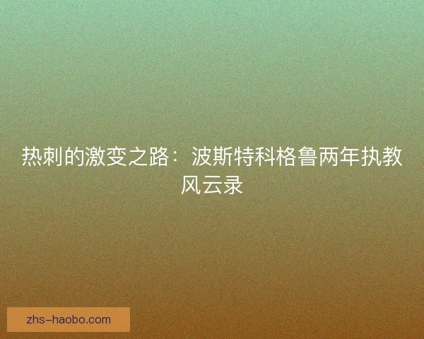 热刺的激变之路:波斯特科格鲁两年执教风云录 热刺的激变之路:波斯特科格鲁两年执教风云录
