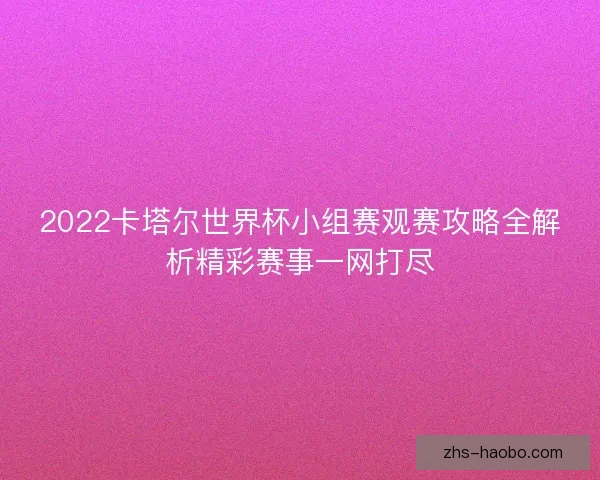 2022卡塔尔世界杯小组赛观赛攻略全解析精彩赛事一网打尽 2022卡塔尔世界杯小组赛观赛攻略全解析精彩赛事一网打尽