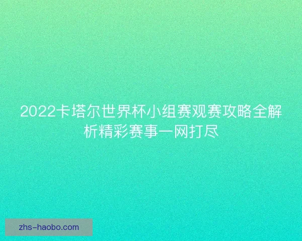 2022卡塔尔世界杯小组赛观赛攻略全解析精彩赛事一网打尽